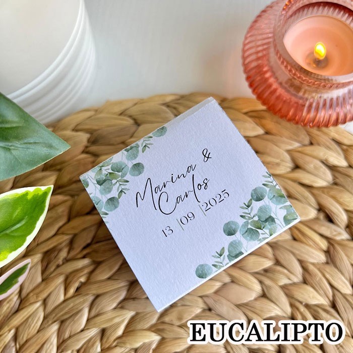 Kit de cultivo